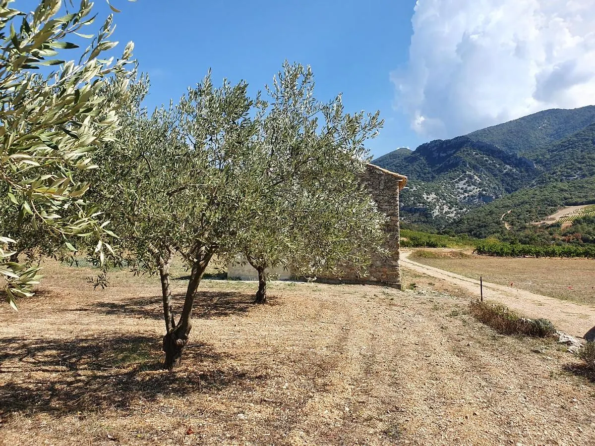 Vila L'Escapade, Mas En Pierre D'Exception En Provence Mérindol-les-Oliviers